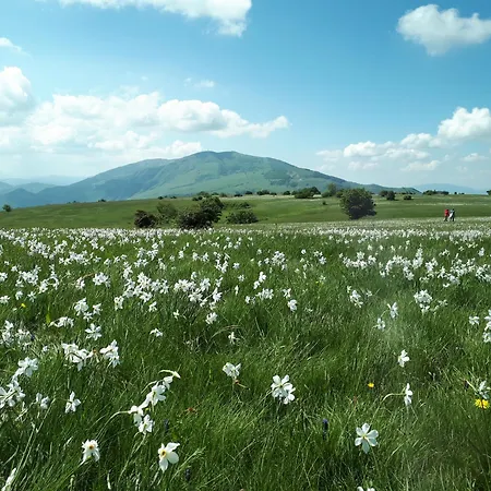 Casa La Gorga * קאלי